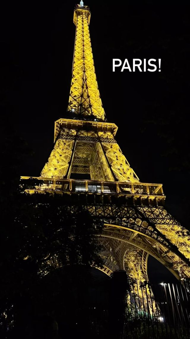 Baguettes, one magical Parisian courtyard, an inspiring graduation, two big birthdays, cobblestones, too much gorgeousness to take in, a bullet train ride and a maximum number of feathered friends made. A dream-come-true time in France and Switzerland.
